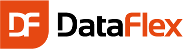 DataFlex Logo