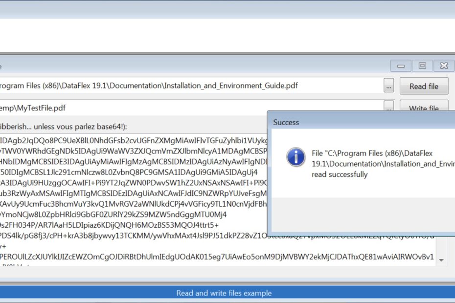 How the "Read and write files" program looks in operation