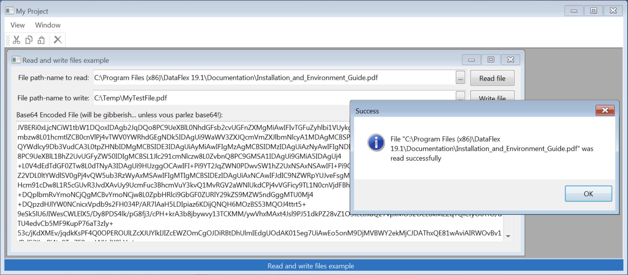 Read and write files image for working with binary files in DataFlex